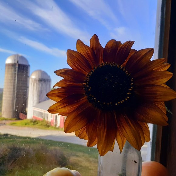 Meet your Posh Ambassador, Melissa! - Picture 10 of 10